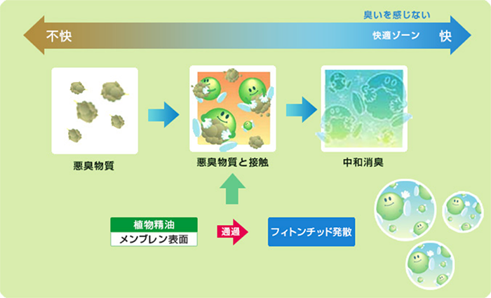 フィトンチッド